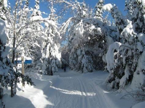 Hotel Far Hills Val-Morin Exterior foto